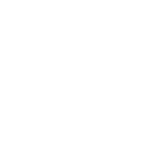 Flag Dynasty